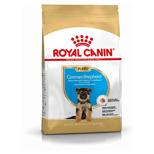 Royal Canin German Sheperd 30 Junior 12 kg, 1er Pack (1 x 12 kg) von ROYAL CANIN