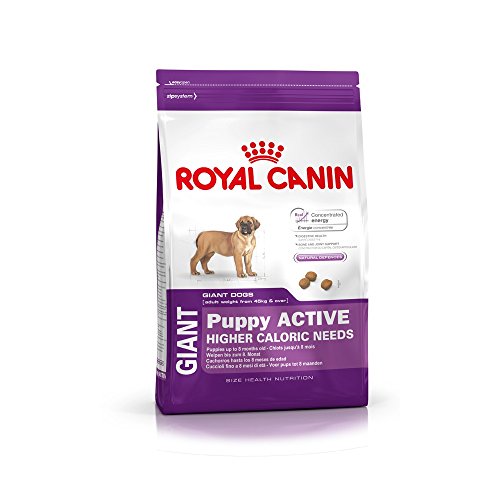 Royal Canin Hundefutter Giant Puppy Active 15 kg, 1er Pack (1 x 15 kg) von ROYAL CANIN