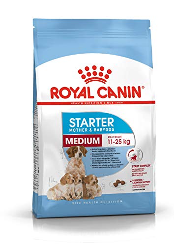 ROYAL CANIN Hundefutter Medium Starter 12 kg, 1er Pack (1 x 12 kg) von ROYAL CANIN