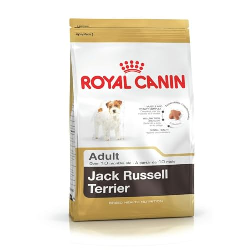 Royal Canin Jack Russel Adult 1,5 kg, 1er Pack (1 x 1.5 kg) von ROYAL CANIN