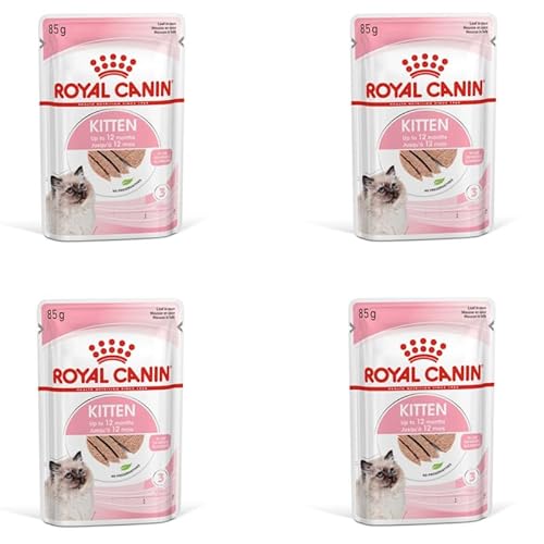 ROYAL CANIN Kitten Mousse in Soße | 4er Pack | 4 x 12 x 85 g | Nassfutter für Katzen | Speziell für Katzenwelpen in der zweiten Wachstumsphase bis zum 12. Monat | Weiche Textur von ROYAL CANIN