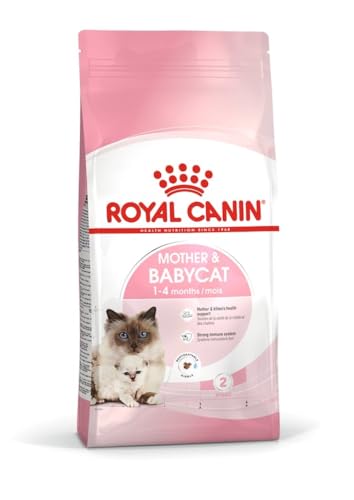 ROYAL CANIN MOTHER & BABYCAT | 400 g | Trockennahrung für Katzen | Speziell für die Mutterkatze und ihre Welpen | Zur Stärkung körpereigener Abwehrkräfte und Gehirnentwicklung von ROYAL CANIN