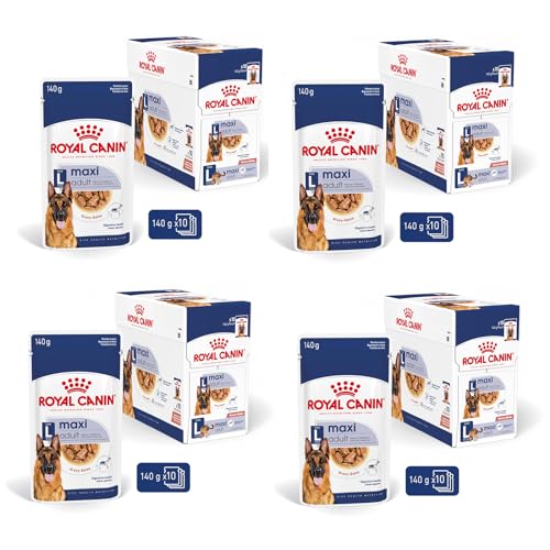 ROYAL CANIN Maxi Adult | 4er Pack | 4 x 10 x 140 g | Alleinfuttermittel für Hunde | Für ausgewachsene große Hunde (26 bis 44 kg) | Vom 15. Monat bis zum 5. Lebensjahr von ROYAL CANIN