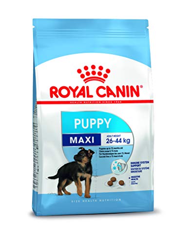 Royal Canin Maxi Junior, 1er Pack (1 x 1 kg) von ROYAL CANIN