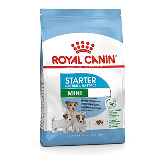 Royal Canin Mini Starter Mother & babydog, 1er Pack (1 x 1 kg) von ROYAL CANIN