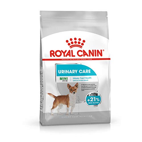 Royal Canin Urinary Care Mini Trockenfutter für kleine Hunde | 1 kg | Trockenfutter für Hunde bis zu 10 Kilo | Zur Unterstützung der Harnwegsfunktion | Ausgewogener Mineralstoffgehalt von ROYAL CANIN