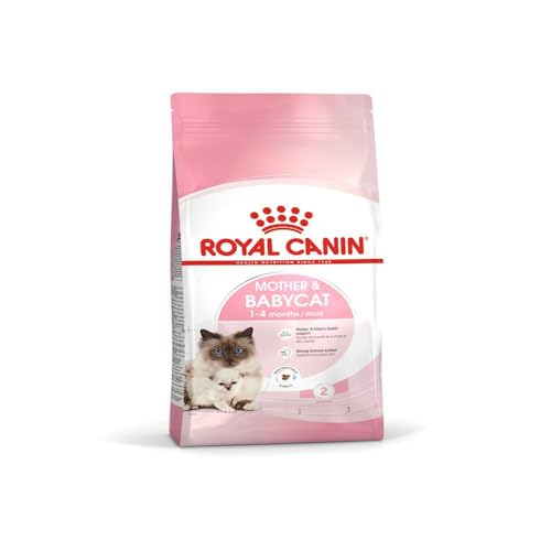 ROYAL CANIN Mother & Babycat - 10 kg von ROYAL CANIN