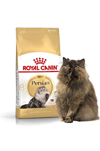 ROYAL CANIN Persische trocken 2 kg Kata- - Katzen Trockenfutter Kroketten von ROYAL CANIN