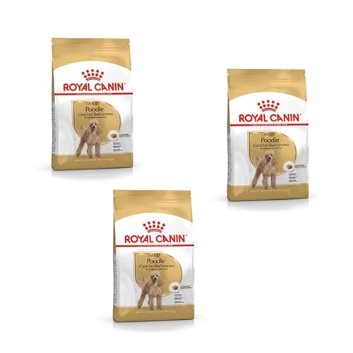 Royal Canin Poodle Adult | 3er Pack | 3 x 500 g | Trockenfutter für ausgewachsene Pudel | Zur Unterstützung des Fells und des Muskeltonus | Für Hunde ab dem 10. Lebensmonat von ROYAL CANIN