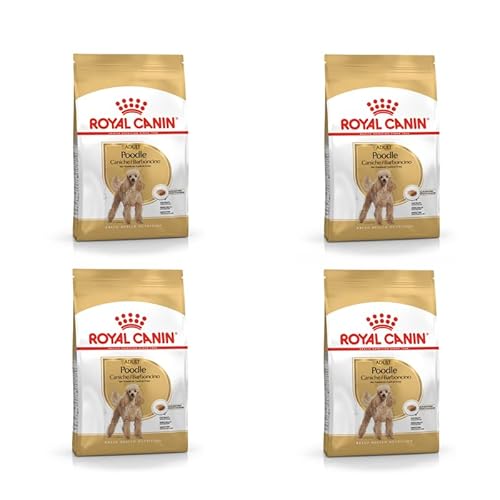 Royal Canin Poodle Adult | 4er Pack | 4 x 500 g | Trockenfutter für ausgewachsene Pudel | Zur Unterstützung des Fells und des Muskeltonus | Für Hunde ab dem 10. Lebensmonat von ROYAL CANIN