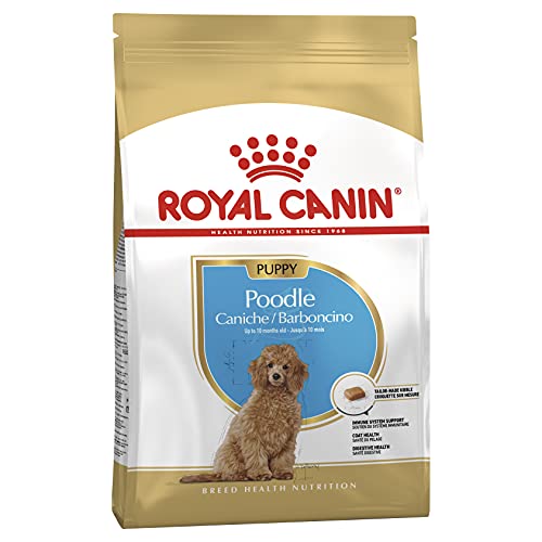 ROYAL CANIN Pudel Junior 3 kg, 1er Pack (1 x 3 kg) von ROYAL CANIN