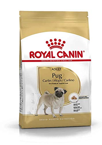 Royal Canin Mops, 7,5 kg von ROYAL CANIN