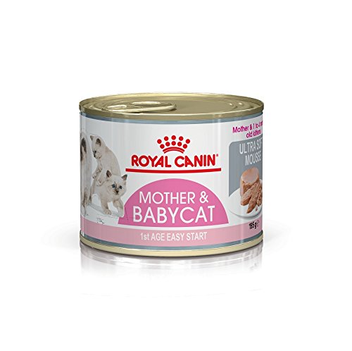 ROYAL CANIN RC Feline Dose Health Nutrition Babycat 195g von ROYAL CANIN