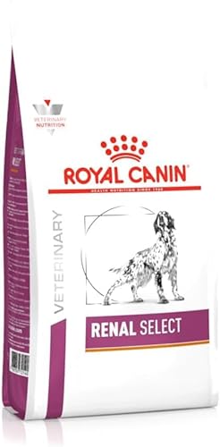Royal Canin Veterinary Renal Special 2 kg | Diät-Alleinfuttermittel für ausgewachsene Hunde Aller Größen | Niedriger Phosphatgehalt | Zur Unterstützung der Nierenfunktion von ROYAL CANIN