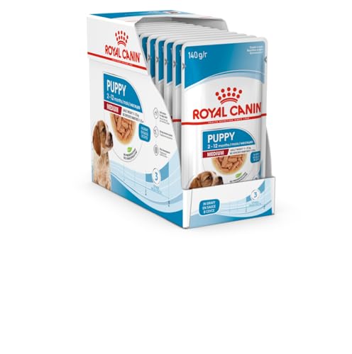 Royal Canin Medium Puppy | 10 x 140 g | Cibo umido per cani di taglia media | Fino a 12 mesi di età | Per il supporto cerebrale | Bocconi in salsa von ROYAL CANIN