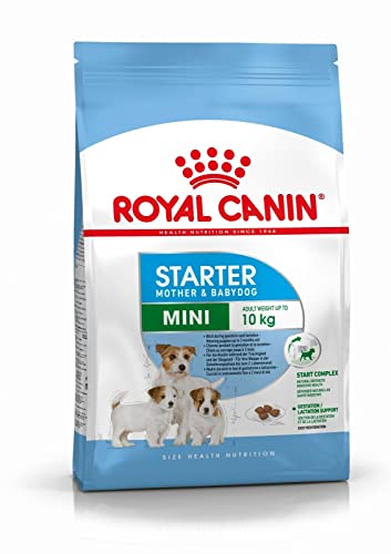 Royal Canin Mini Starter Mother & Babydog | 4 kg | Alleinfuttermittel für kleine Hunde | Trockenfutter für Hündinnen im letzten Drittel der Trächtigkeit und während der Säugezeit von ROYAL CANIN