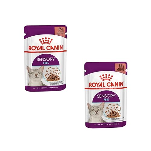 ROYAL CANIN Sensory Feel Nassfutter in Soße für wählerische Katzen | Doppelpack | 2 x 12 x 85 g | Die besondere Textur kann dabei helfen das Mundgefühl von Katzen anzuregen von ROYAL CANIN