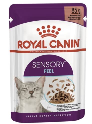 ROYAL CANIN Sensory Feel Wet cat Food Chunks in Sauce 12x85 g von ROYAL CANIN