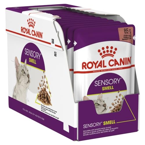 ROYAL CANIN Sensory Smell Wet cat Food Chunks in Sauce 12x85 g von ROYAL CANIN