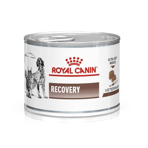 Royal Canin Veterinary Recovery | 12 x 195 g | Diät-Alleinfuttermittel für ausgewachsene Hunde und ausgewachsene Katzen | Ultra Soft Mousse mit einem hohen Proteingehalt von ROYAL CANIN