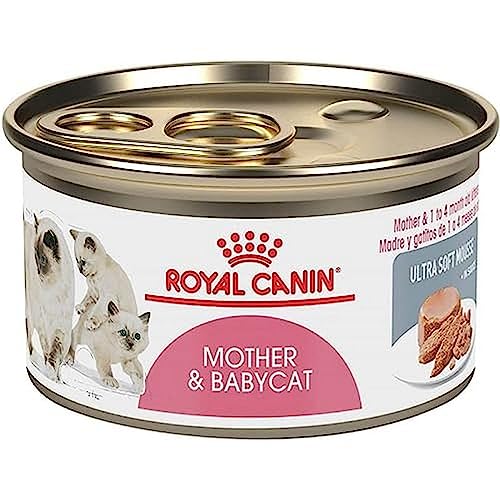 ROYAL FELINE MOTHER BABYCAT CAJA 12X195GR von ROYAL CANIN