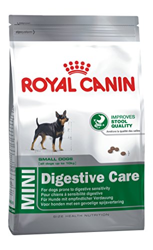 Royal Canin (ROYBJ) Hundefutter Mini Digestive Care, 1er Pack (1 x 10 kg) von ROYAL CANIN