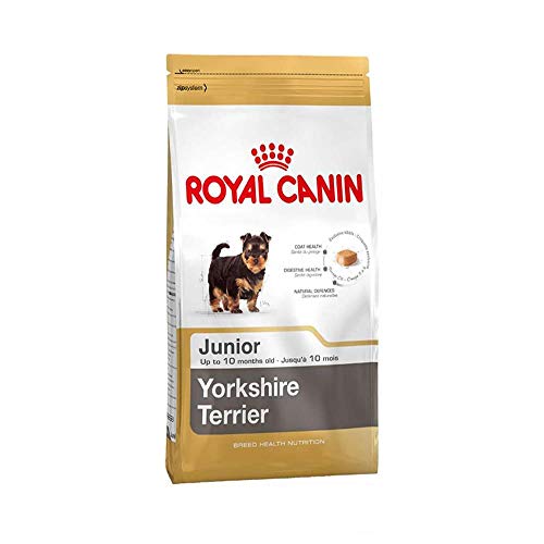 Royal Canin 35118 Breed Yorkshire Terrier Junior/puppy 1,5 kg - Hundefutter, Verpackung kann variieren von ROYAL CANIN