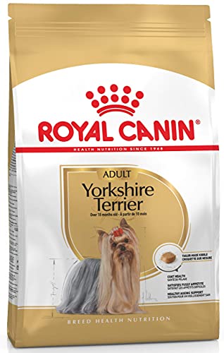 Royal Canin 35121 Breed Yorkshire Terrier 1,5 kg - Hundefutter von ROYAL CANIN