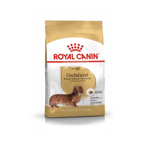 ROYAL CANIN Dachshund Adult | 500 g | Alleinfuttermittel für ausgewachsene Dackel ab dem 10. Lebensmonat | Zur Unterstützung von Knochen und Gelenken | Mit Kalzium und Phosphor von ROYAL CANIN