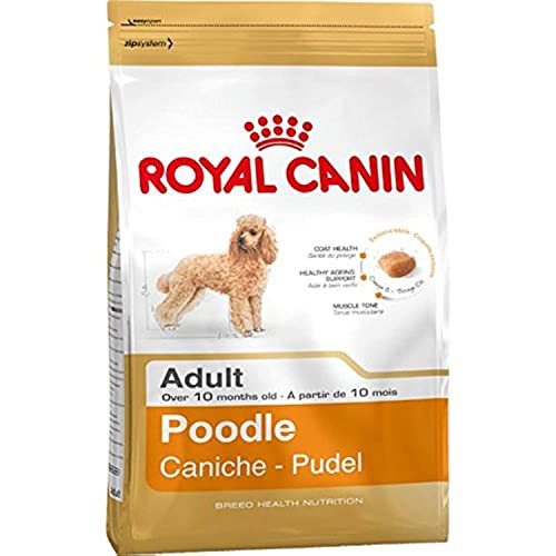 Royal Canin 35136 Breed Pudel 1,5 kg - Hundefutter von ROYAL CANIN