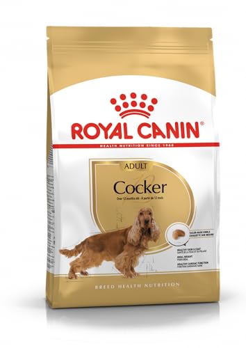 Royal Canin Cocker Adult | 3 kg | Alleinfuttermittel für ausgewachsene Cocker Spaniels | Zur Unterstützung des allgemeinen Wohlbefindens | Mit Borretschöl und Omega-3 von ROYAL CANIN