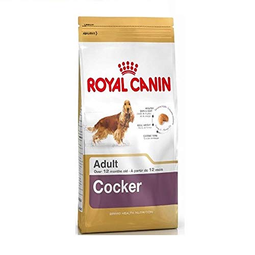 Royal Canin Cocker Adult | 3 kg | Alleinfuttermittel für ausgewachsene Cocker Spaniels | Zur Unterstützung des allgemeinen Wohlbefindens | Mit Borretschöl und Omega-3 von ROYAL CANIN