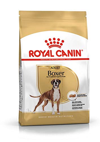 Royal Canin 35140 Breed Boxer 3 kg- Hundefutter von ROYAL CANIN