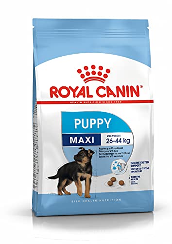 Royal Canin 35230 Maxi Junior 4 kg- Hundefutter von ROYAL CANIN