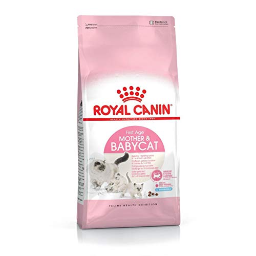 Royal Canin 55172 Babycat 2 kg - Katzenfutter von ROYAL CANIN