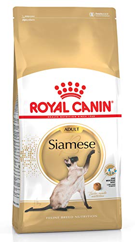 Royal Canin 55193 Siamese 10 kg - Katzenfutter von ROYAL CANIN