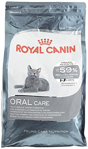 Royal Canin 55207 Oral care 3,5 kg - Katzenfutter von ROYAL CANIN