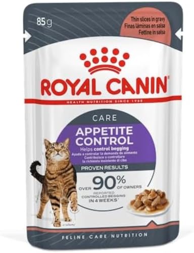 Royal Canin Appetite Control Care in Soße | 12 x 85 g | Alleinfuttermittel für ausgewachsene Katzen | Empfohlen zur Kontrolle des Bettelverhaltens und bei Übergewicht von ROYAL CANIN