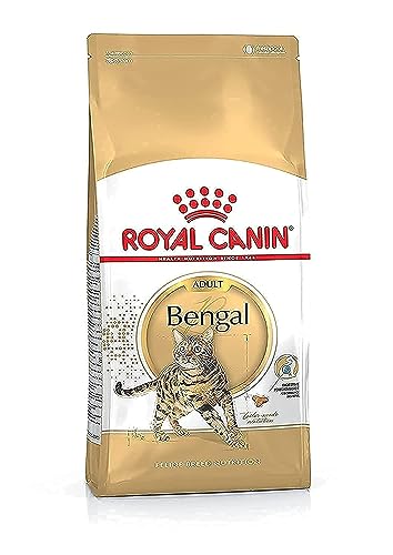 Royal Canin Bengal Adult, 1er Pack (1 x 2 kg) von ROYAL CANIN