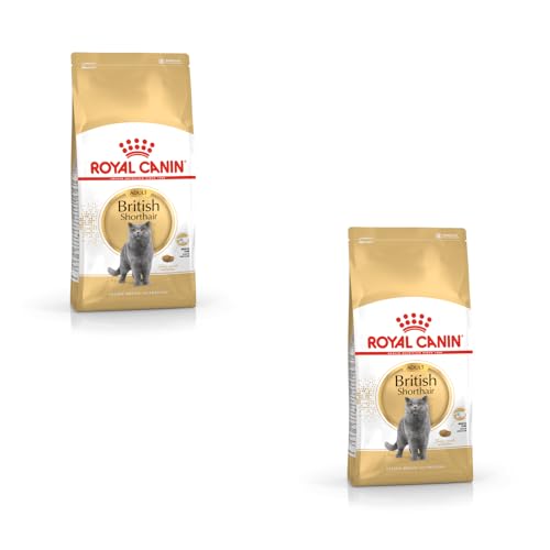 Royal Canin British Shorthair Adult | Doppelpack | 2 x 400 g | Alleinfuttermittel für British Shorthair Katzen | Speziell für Britisch Kurzhaar Katzen entwickelt | Ab dem 12. Monat von ROYAL CANIN