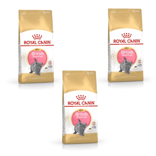 Royal Canin British Shorthair Kitten | 3er Pack | 3 x 400 g | Alleinfuttermittel für British Shorthair Kitten | Speziell für Britisch Kurzhaar Katzenwelpen | Bis zum 12. Monat von ROYAL CANIN