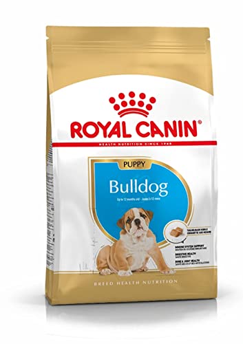 Royal Canin Bulldog Junior 3 kg, 1er Pack (1 x 3 kg) von ROYAL CANIN