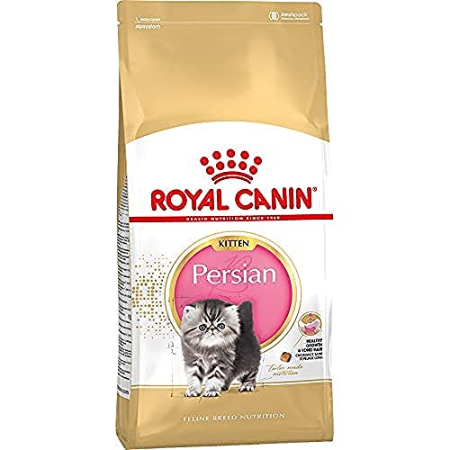 Royal Canin C-58428 Kitty Persisch - 10 kg von ROYAL CANIN