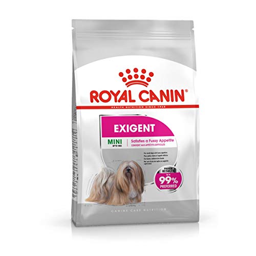 Royal Canin CCN Exigent Mini | 1kg | Alleinfuttermittel für wählerische kleine Hunde | Für ausgewachsene und ältere kleine Hunde bis 10 kg mit wählerischem Appetit | Trockenfutter von ROYAL CANIN