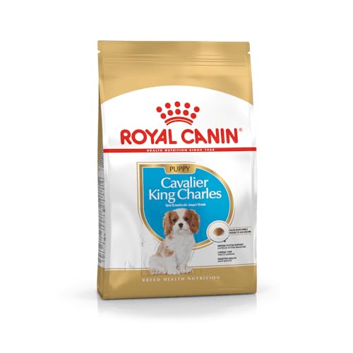 Royal Canin Cavalier King Charles Puppy | 1,5 kg | Trockenfutter für Welpen | Kann die natürlichen Abwehrkräfte und Herzgesundheit unterstützen | Könnte Verdauung fördern von ROYAL CANIN