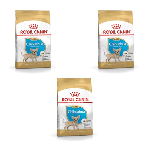 Royal Canin Chihuahua Puppy | 3er Pack | 3 x 500 g | Trockenfutter für Chihuahua Welpen bis zum 10. Monat | Zur Unterstützung der körpereigenen Abwehrkräfte | Hohe Akzeptanz von ROYAL CANIN