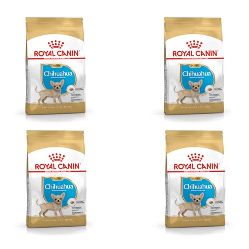 Royal Canin Chihuahua Puppy | 4er Pack | 4 x 500 g | Trockenfutter für Chihuahua Welpen bis zum 10. Monat | Zur Unterstützung der körpereigenen Abwehrkräfte | Hohe Akzeptanz von ROYAL CANIN