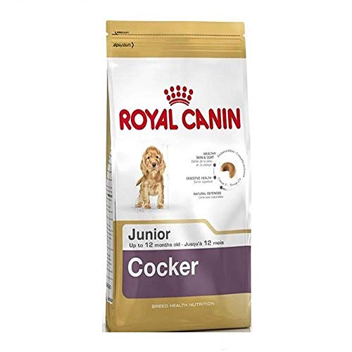 Royal Canin Cocker Junior 3 kg, 1er Pack (1 x 3 kg) von ROYAL CANIN