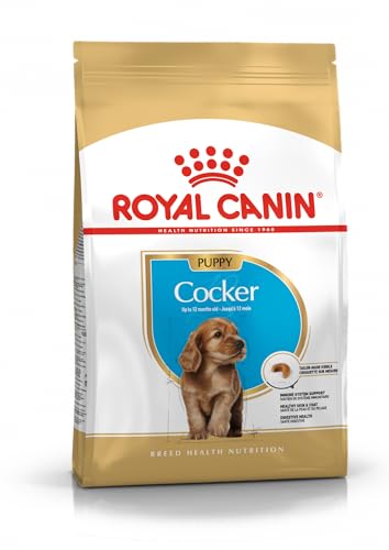 Royal Canin Cocker Junior 3 kg, 1er Pack (1 x 3 kg) von ROYAL CANIN