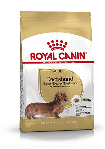 Royal Canin Dachshund Adult | 1,5 kg | Alleinfuttermittel für Hunde | Speziell für ausgewachsene und ältere Dackel | Kann dabei unterstützen die Knochen und Gelenke zu schützen von ROYAL CANIN